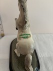 Hagen Renecker Dw Lipizzan Horse W  Sticker  Mint Condition