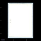 Old Vintage Photo Affectionate Women Standing Outside