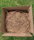 Pine Straw Red Pine Needles 2 Pounds