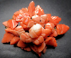 Gorgeous Victorian Carved Genuine Coral Leaves   Flowers Antique Pin Brooch