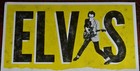 Elvis Costello   The Imposters With Charley Sexton Concert Tour Poster Not Hatch