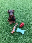 Dollhouse Miniature Dog Bone W  Rope Chew   Kong Toy Puppy 1  Scale 1 12