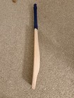 Dsc Grade 1 Bat