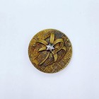 Antique Brass Picture Button Palm Tree W  Cut Steel Star W  Floral Background