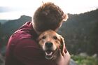 Pet Same Day Psychic Reading Same Day Accurate
