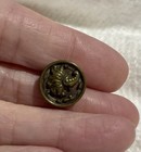 Vintage Antique Diminutive Victorian Picture Button Floral Tinted Background A59