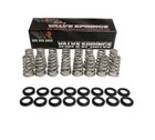 Brian Tooley Racing Btr Sk017 Valve Springs W  Pushrods For 2009  Hemi 5 7l
