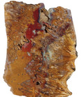 Old Stock Sagenite Agate Slab 74 9g Rough Lapidary Red Orange Brown Blue  11