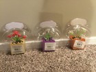 3 Solar Dancing Flowers - Fleurs Dansante Solaire New In Box