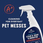 Rocco   Roxie Pet Stain   Odor Eliminator 32oz Enzyme Carpet Cleaner Spray