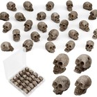 24 Pcs Mini Skull Heads  Miniature Skeleton Heads Figurines  Tiny Resin Skulls F