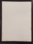 Beatles 1966  up The Beatles  Family Tree   Paperback Book