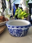 Vintage Chinese Porcelain Blue And White Chinoiserie Jardiniere Planter 