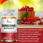100  Pure Berberine Hcl 1200mg 240 Pills  Healthy Cholesterol  Anti-inflammatory