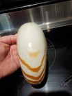Natural Nautilus Seashell Nautilus Pompilius Small Crack
