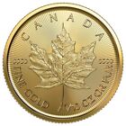 1 10 Oz Canadian Gold Maple Leaf Coin Bu  random Year 