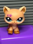 Lps Hasbro Reserved Listing - Authentic Littlest Pet Shop
