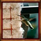  Hummingbird Helper Nesting Material   Cage Songbird Essential Hummer Attraction