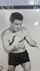 Jake Lamotta Signed 8x10 Photo Autograph Boxing The Ring Raging Bull Psa Coa