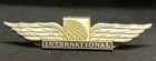 Usa International Airlines Flight Attendant Winged Lapel Pin Badge Enameled