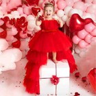 Baby Girls Trailing Bow Lace Princess Dress Party Wedding  Birthday Ball Gown