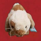 Webkinz Holland Lop Bunny Rabbit Plush Brown Cream Stuffed Animal Hm632 W code