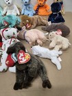 Ty Beanie Baby Lot  Decade  Shivers  Pops  1998 Holiday Teddy  Cheeks  Etc