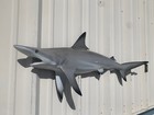45  Blacktip Shark Half Mount Shark Replica - Quick Production