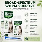 Dewormer For Cats   Kittens  Broad Spectrum Liquid Cat Dewormer   Dewormer For C