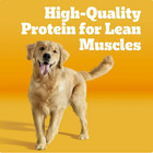   2 Pack   Pedigree High Protein Adult Dry Dog Food  Beef And Lamb Flavor  30 Lb