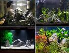 44 Lb Seiryu Rock Stone For Aquariums  Landscaping Model tank Decoration