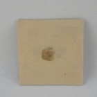 Vintage Tin Tobacco Tag 1  Spring Chicken Yellow