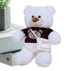 1x Teddy Bear Plush Toys Decorative Stuffed Animal Pillow Clothes Removable