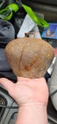 Large Antique Cowbell Great Tone