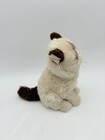 Gund Grumpy Cat Plush Toy Internet Meme Stuffed Siamese Kitten Blue Eye