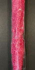 T-mobile Tuesday Umbrella Limited Edition