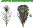 24pcs Peacock Feathers Peacock Swords Long Natural In Bulk 16-18 Inch 40-45 Cm F