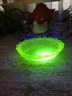 Yellow Hen On Nest 7  Uranium vaseline  glows Under Blacklight 