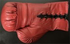 Mike Tyson Signed Autographed Everlast Boxing Glove Heavyweight Champion Oa