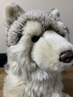 Webkinz Signature Timber Wolf Plush Wks1008 Ganz Rare No Code Read
