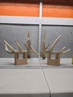 Big Wild Flyer 167  15 Point Deer Shed Set Antler Whitetail Decor Man Cave  Buck