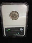 1913 Type 1 Indian Head Buffalo Nickel Ngc Ms 65