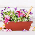 Window Box Planter  7 Pack Plastic Vegetable Flower Planters Boxes 17 Inches Rec