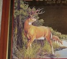 Huge  1993 Budweiser Beer Buck   Doe Deer Pheasant   Ducks Hunting Mirror  ex  