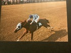 Secretariat   Photo Horse Racing 1973 Kentucky Derby
