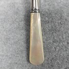 Mother Of Pearl Art Nouveau Sterling Silver Band Jam Sugar Serving Spoon 7 
