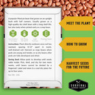 Dry Bean Seeds For Planting     5 Varieties -