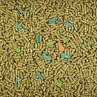 Kaytee Forti Diet Pro Health Guinea Pig 25 Pound  pack Of 1   Blues   Purples 