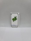 Hidden Disney Pin 2025 Wdw Green Color Story Muppets Kermit  174767 Trade Ship