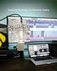 Xlr Microphone  Professional Condenser Microphone With 34mm Large Diaphragm     